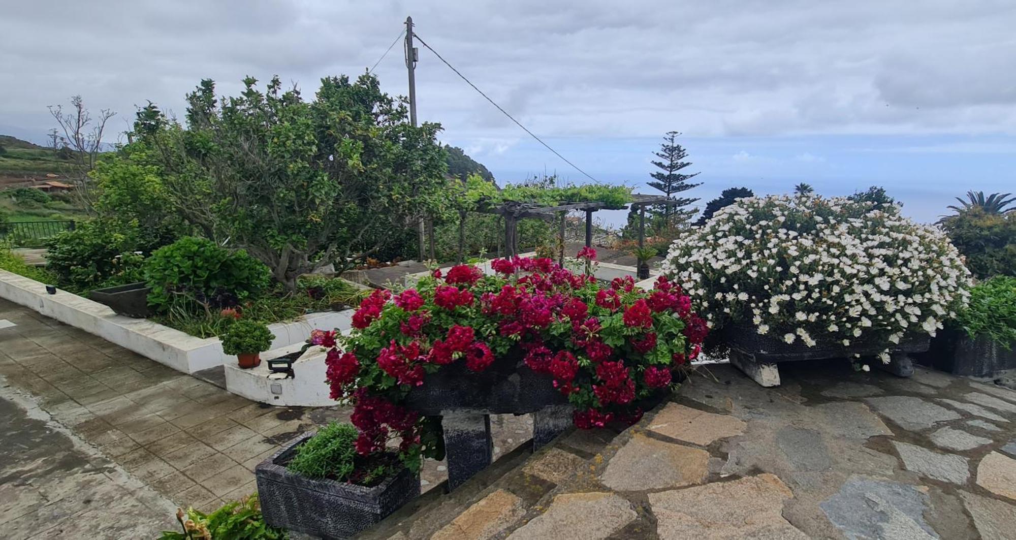 Vivienda Vacacional Finca Monterrey Mazo Oda fotoğraf
