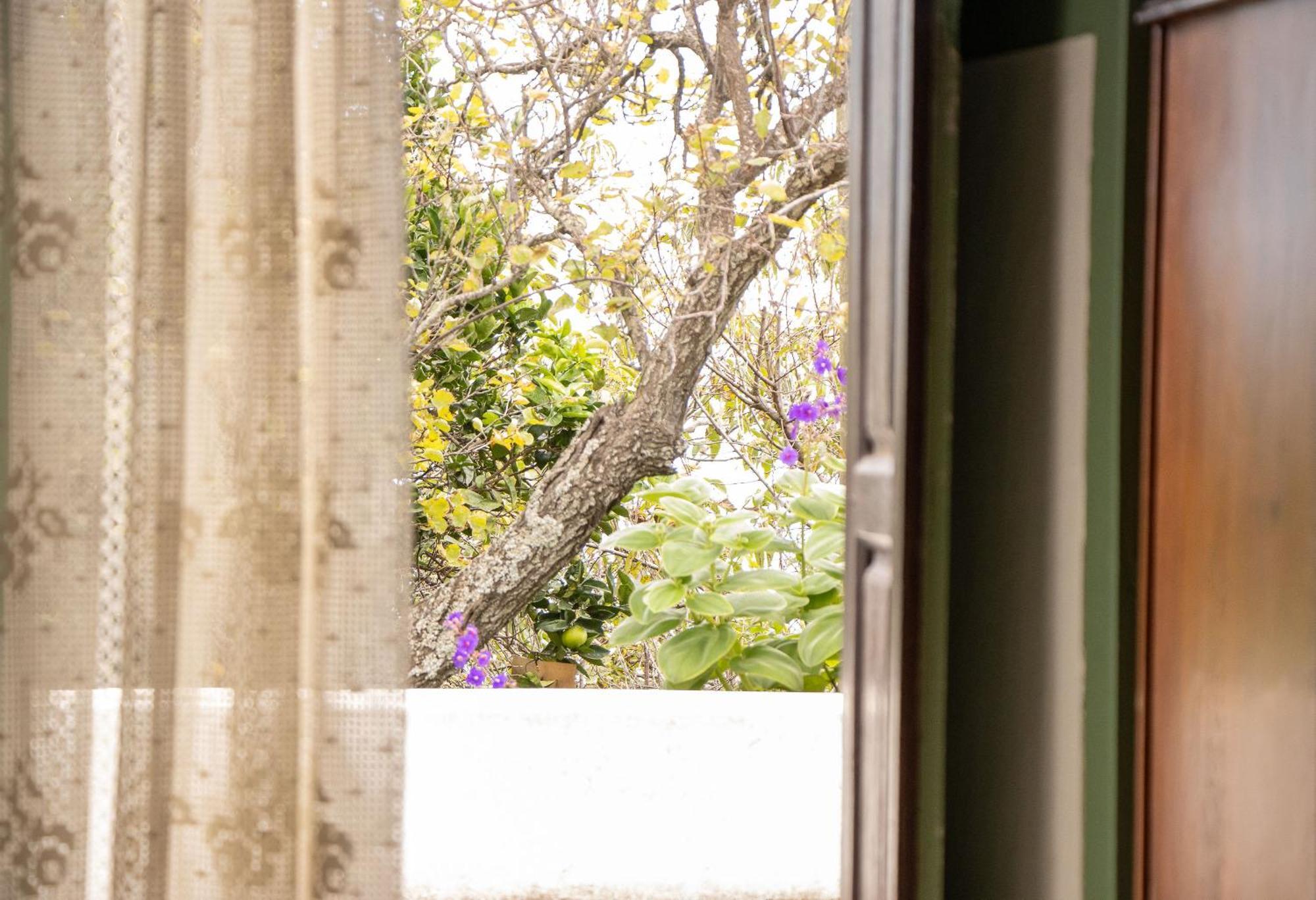 Vivienda Vacacional Finca Monterrey Mazo Dış mekan fotoğraf